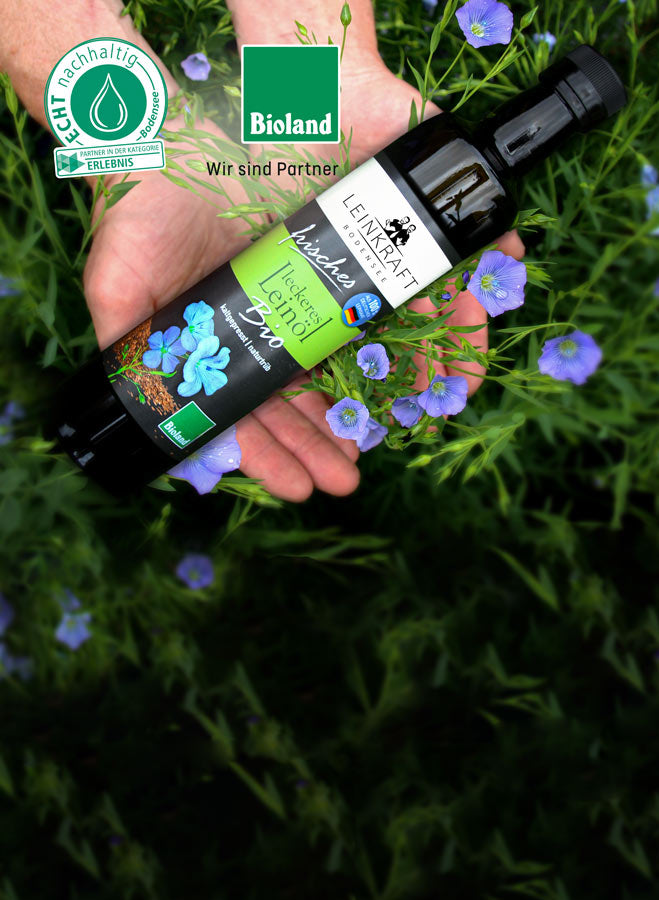 Zwei Hände halten eine Flasche Bio-Leinöl von Leinkraft über einem Leinfeld